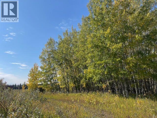 48107 233 Avenue East, Rural Foothills County, Alberta  T1S 4B1 - Photo 12 - A2286464