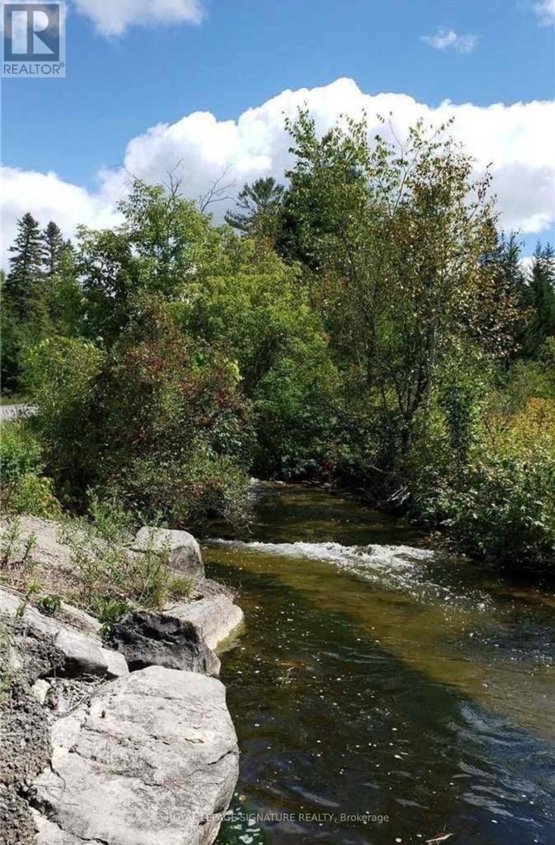 9 Talbot River Road, Kawartha Lakes, Ontario  K0M 2B0 - Photo 19 - X12987124