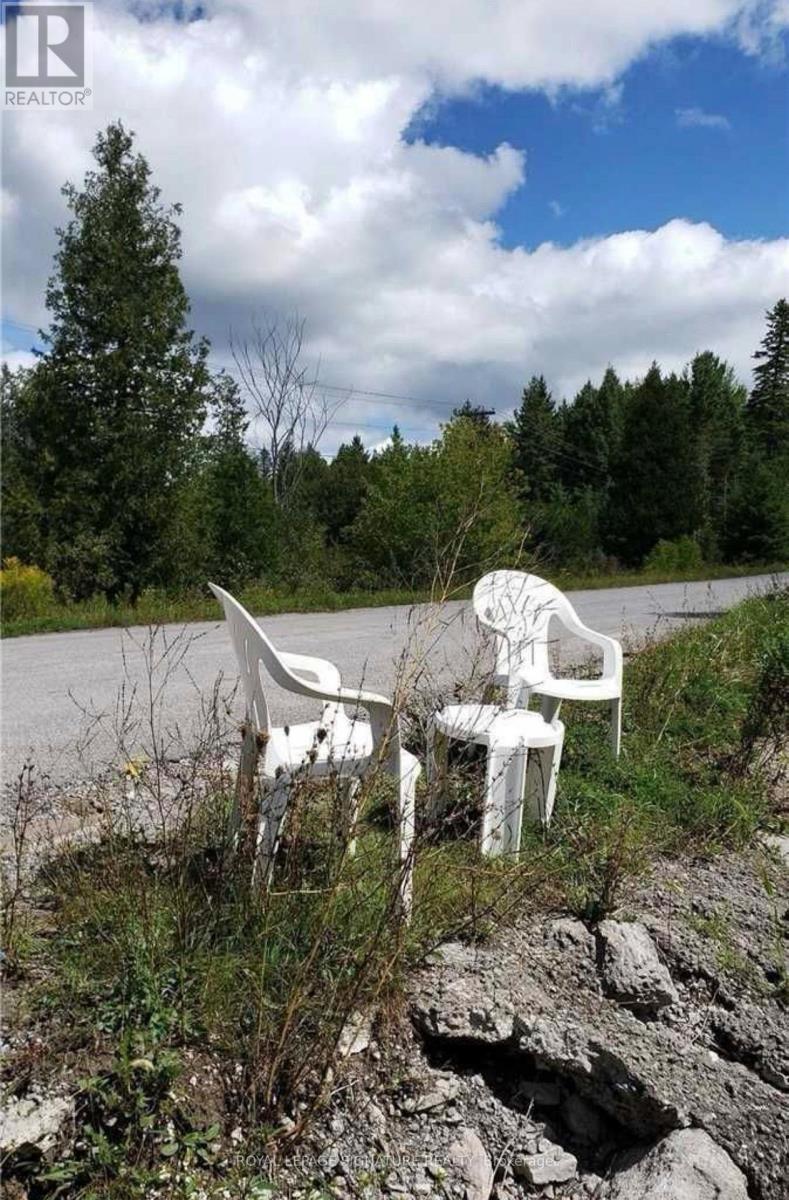 9 Talbot River Road, Kawartha Lakes, Ontario  K0M 2B0 - Photo 20 - X12987124