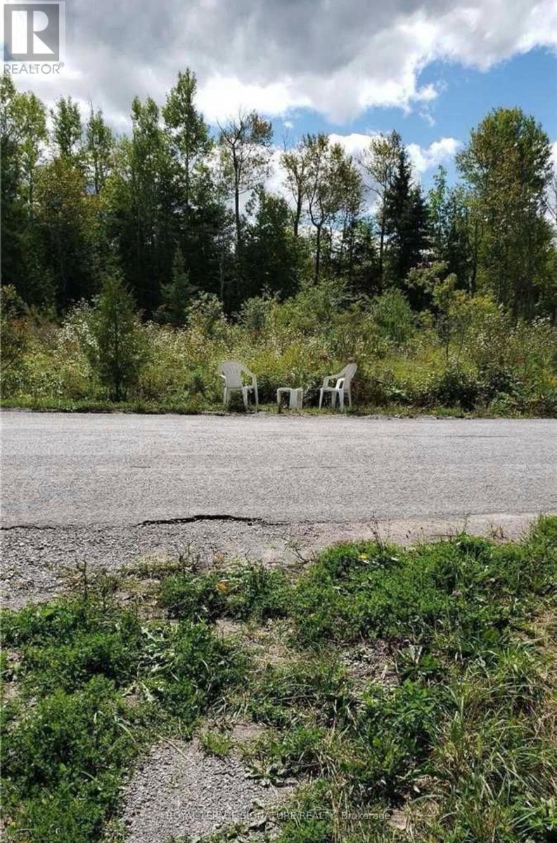 9 Talbot River Road, Kawartha Lakes, Ontario  K0M 2B0 - Photo 22 - X12987124