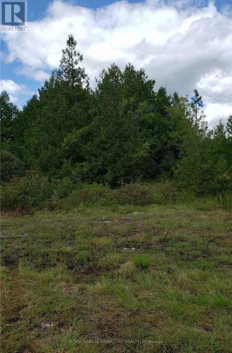 9 Talbot River Road, Kawartha Lakes, Ontario  K0M 2B0 - Photo 26 - X12987124