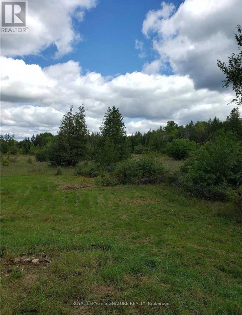 9 Talbot River Road, Kawartha Lakes, Ontario  K0M 2B0 - Photo 27 - X12987124