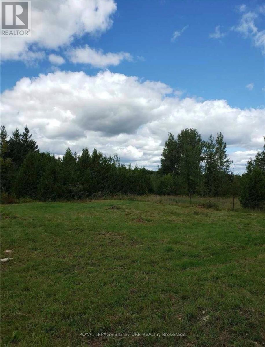 9 Talbot River Road, Kawartha Lakes, Ontario  K0M 2B0 - Photo 24 - X12987134