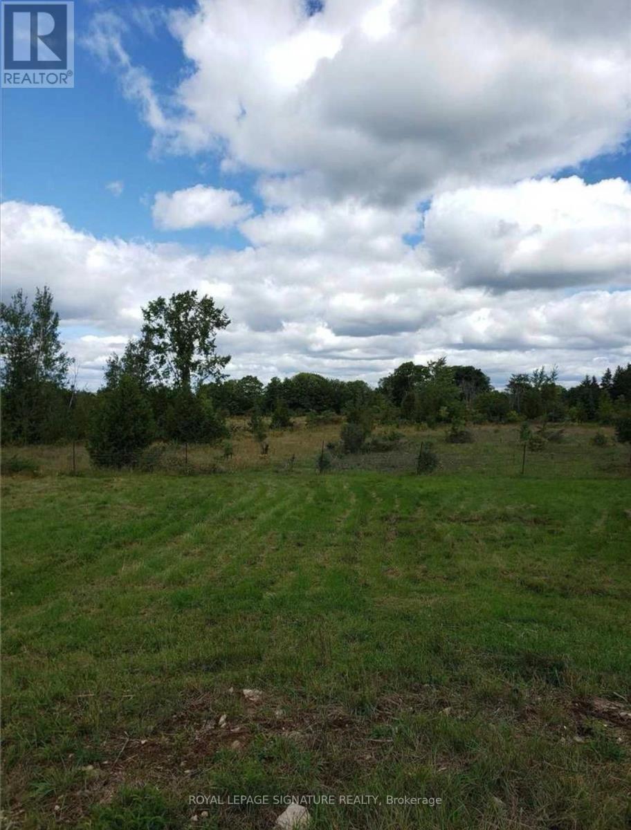 9 Talbot River Road, Kawartha Lakes, Ontario  K0M 2B0 - Photo 25 - X12987134