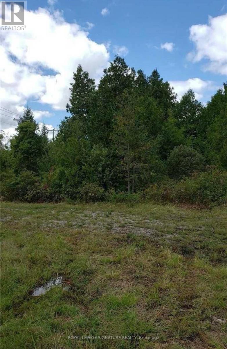 9 Talbot River Road, Kawartha Lakes, Ontario  K0M 2B0 - Photo 29 - X12987134