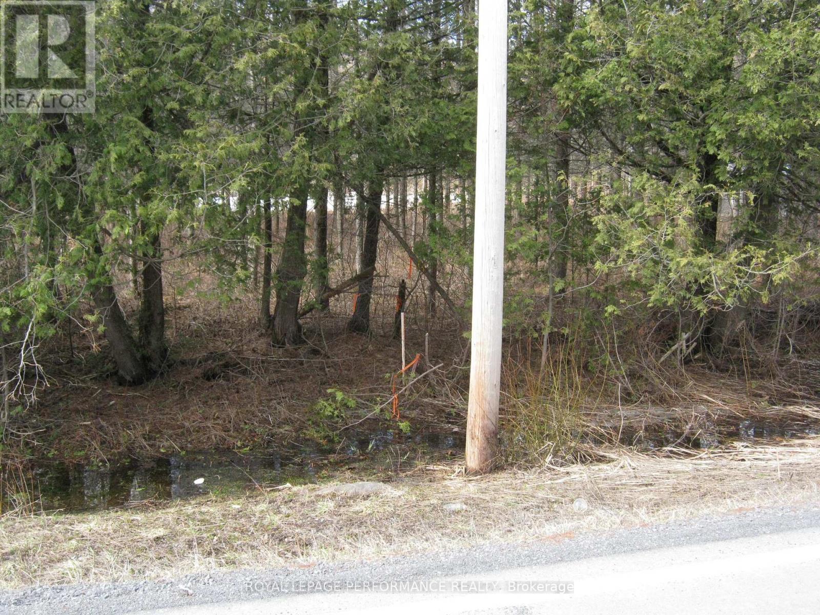 00 Dornie Road N, North Glengarry, Ontario  K0C 1A0 - Photo 4 - X12987224