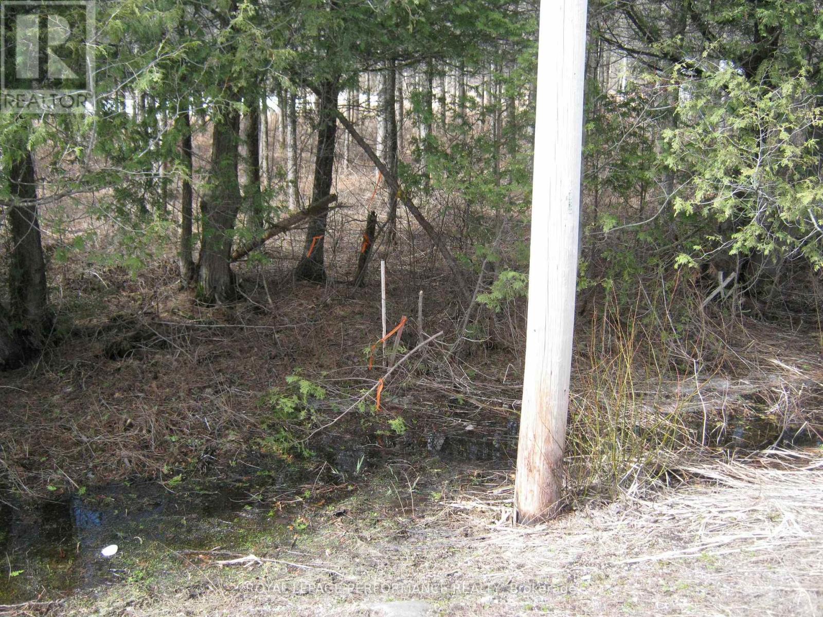 00 Dornie Road N, North Glengarry, Ontario  K0C 1A0 - Photo 5 - X12987224