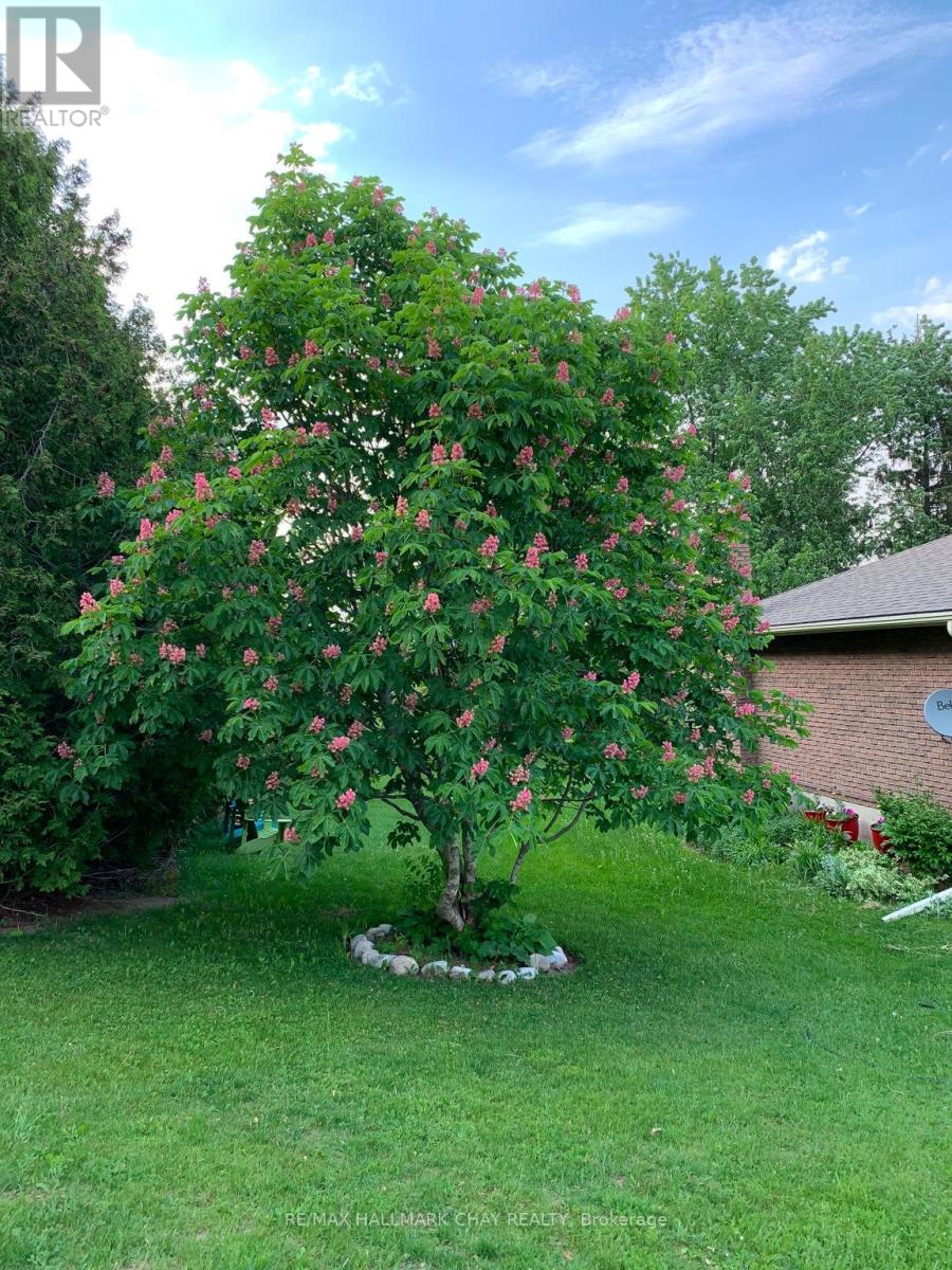 6815 4th Line, New Tecumseth, Ontario  L0G 1W0 - Photo 47 - N12985958