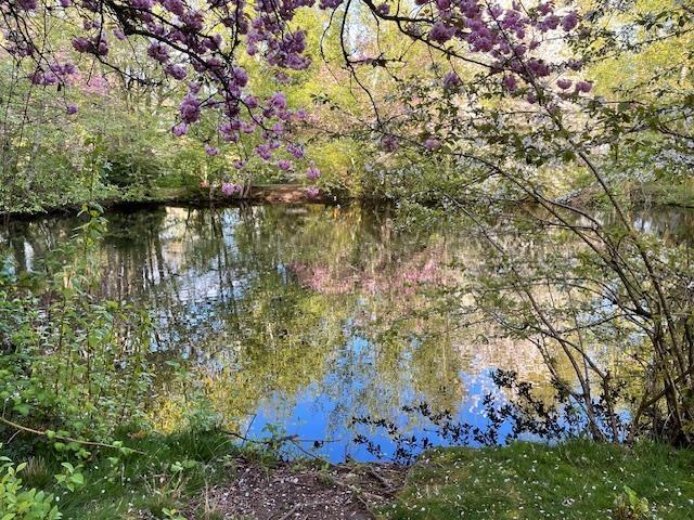 15863 Alder Place, Surrey, British Columbia  V4A 5J1 - Photo 31 - R3110112