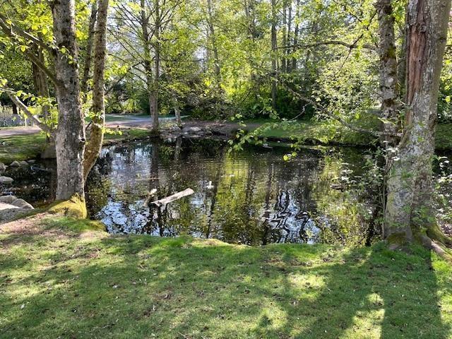 15863 Alder Place, Surrey, British Columbia  V4A 5J1 - Photo 33 - R3110112