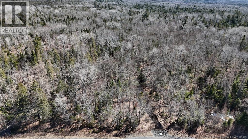 Lot 3 Route 3, Andersonville, New Brunswick  E5A 1E2 - Photo 5 - NB135242