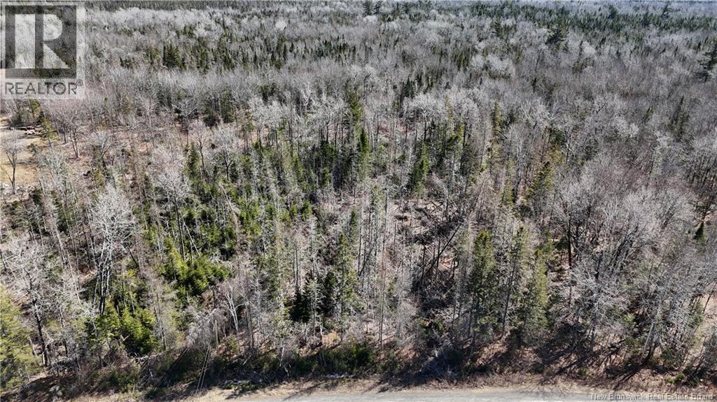 Lot 3 Route 3, Andersonville, New Brunswick  E5A 1E2 - Photo 4 - NB135242