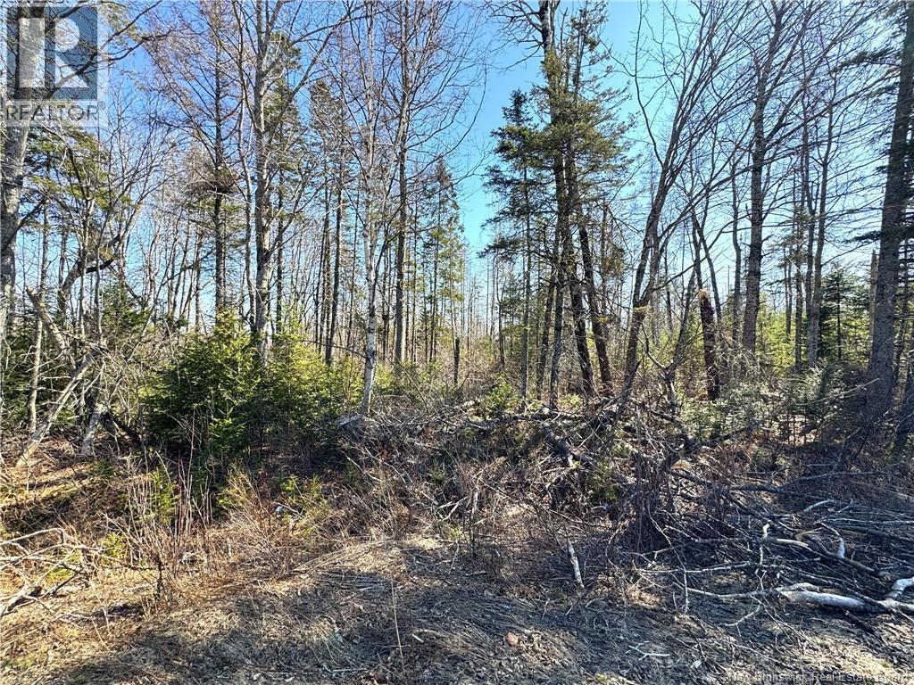 Lot 3 Route 3, Andersonville, New Brunswick  E5A 1E2 - Photo 8 - NB135242