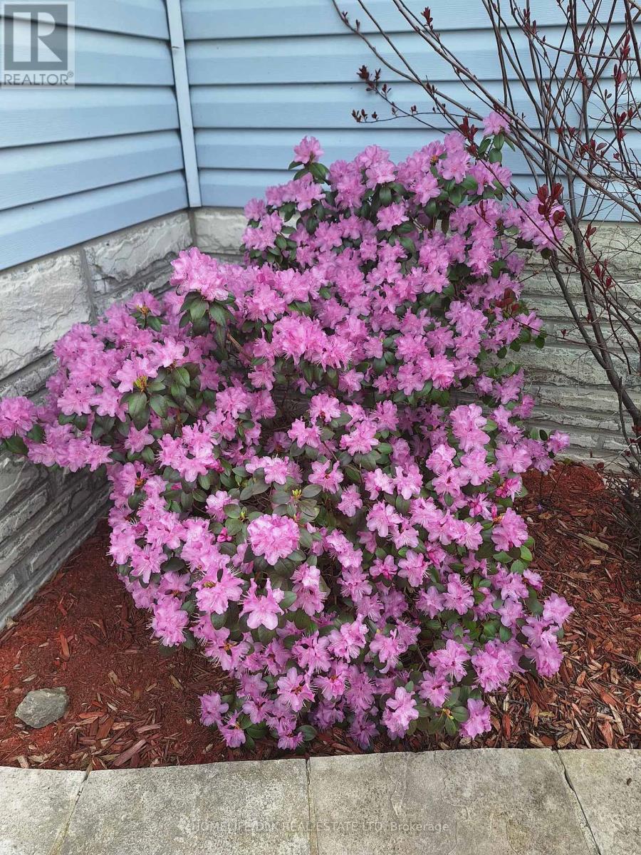 1561 Blue Church Road, Augusta, Ontario  K0E 1T0 - Photo 34 - X12966006