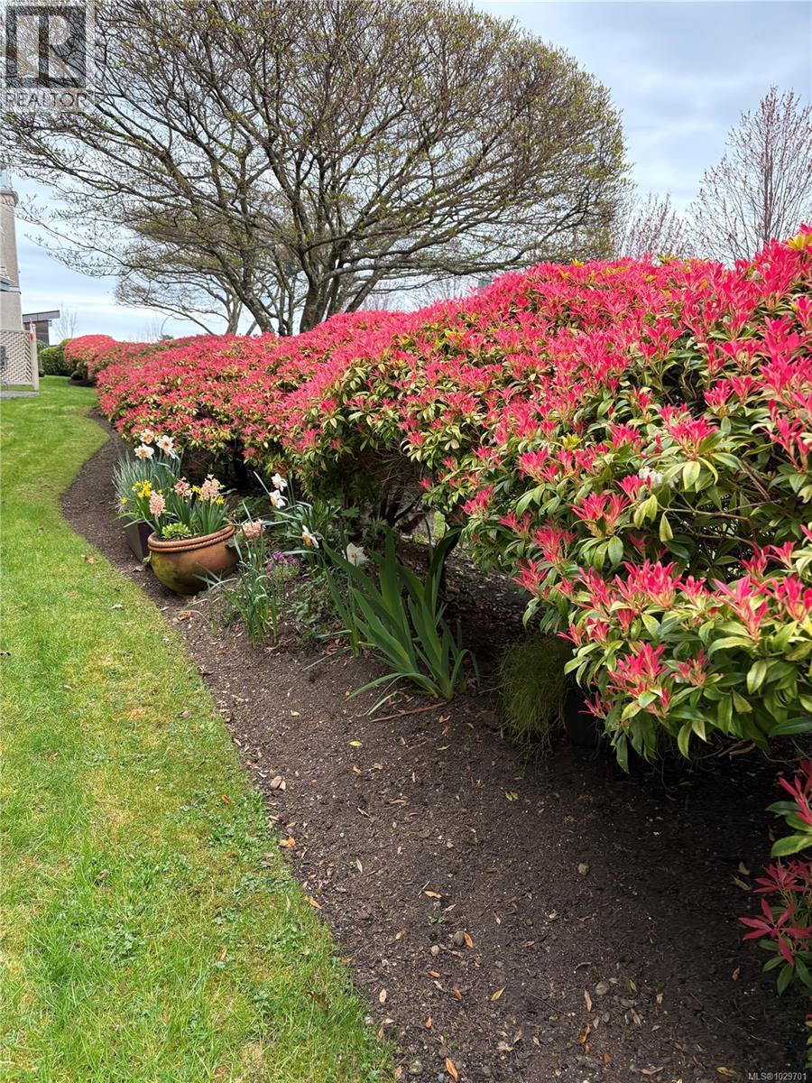 107 4965 Vista View Cres, Nanaimo, British Columbia  V9V 1S1 - Photo 22 - 1029701