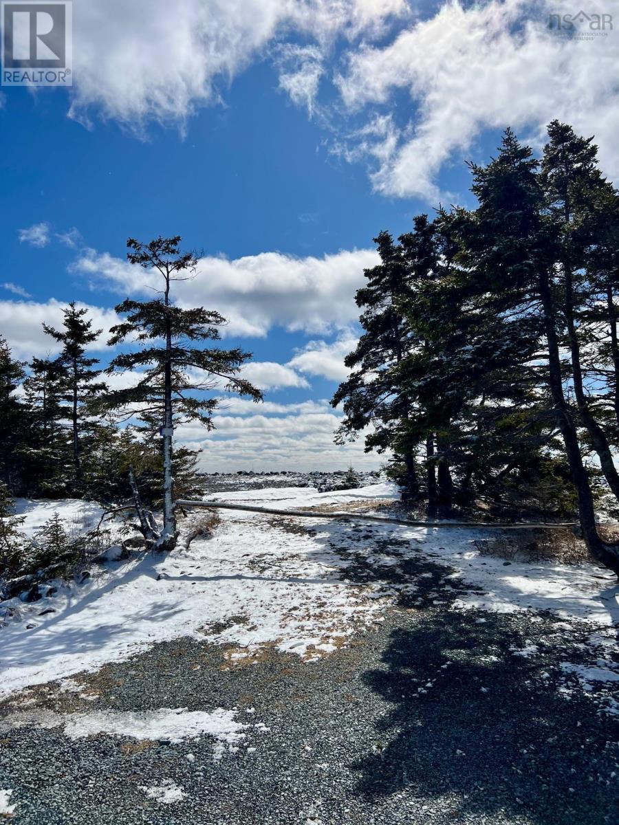 Lot (Pid 70044946) Shore Road, Western Head, Nova Scotia  B0T 1K0 - Photo 24 - 202604401