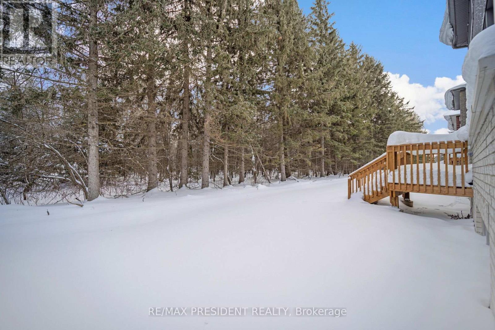 161 Dingman Street, Wellington North, Ontario  N0G 1A0 - Photo 47 - X12987456