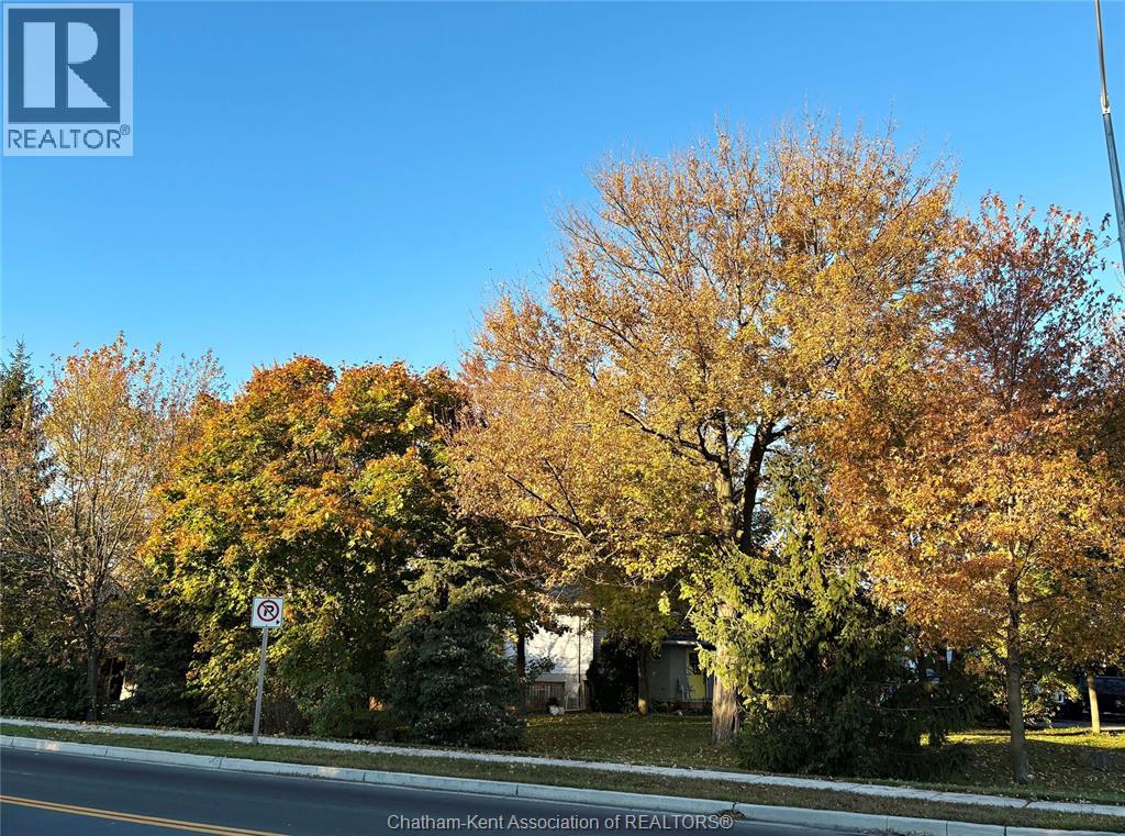 6201 Main Street, Comber, Ontario  N0P 1J0 - Photo 5 - 26007841