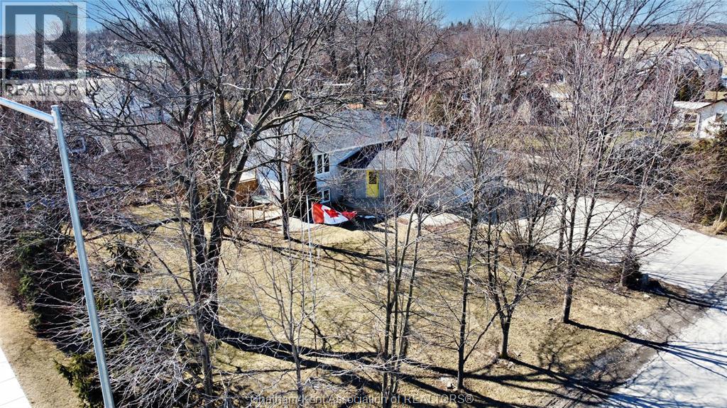 6201 Main Street, Comber, Ontario  N0P 1J0 - Photo 9 - 26007841