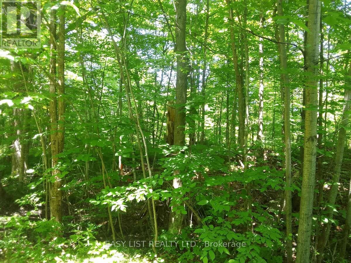 75 - 372 Murphy Road, Rideau Lakes, Ontario  K0G 1X0 - Photo 17 - X12987556