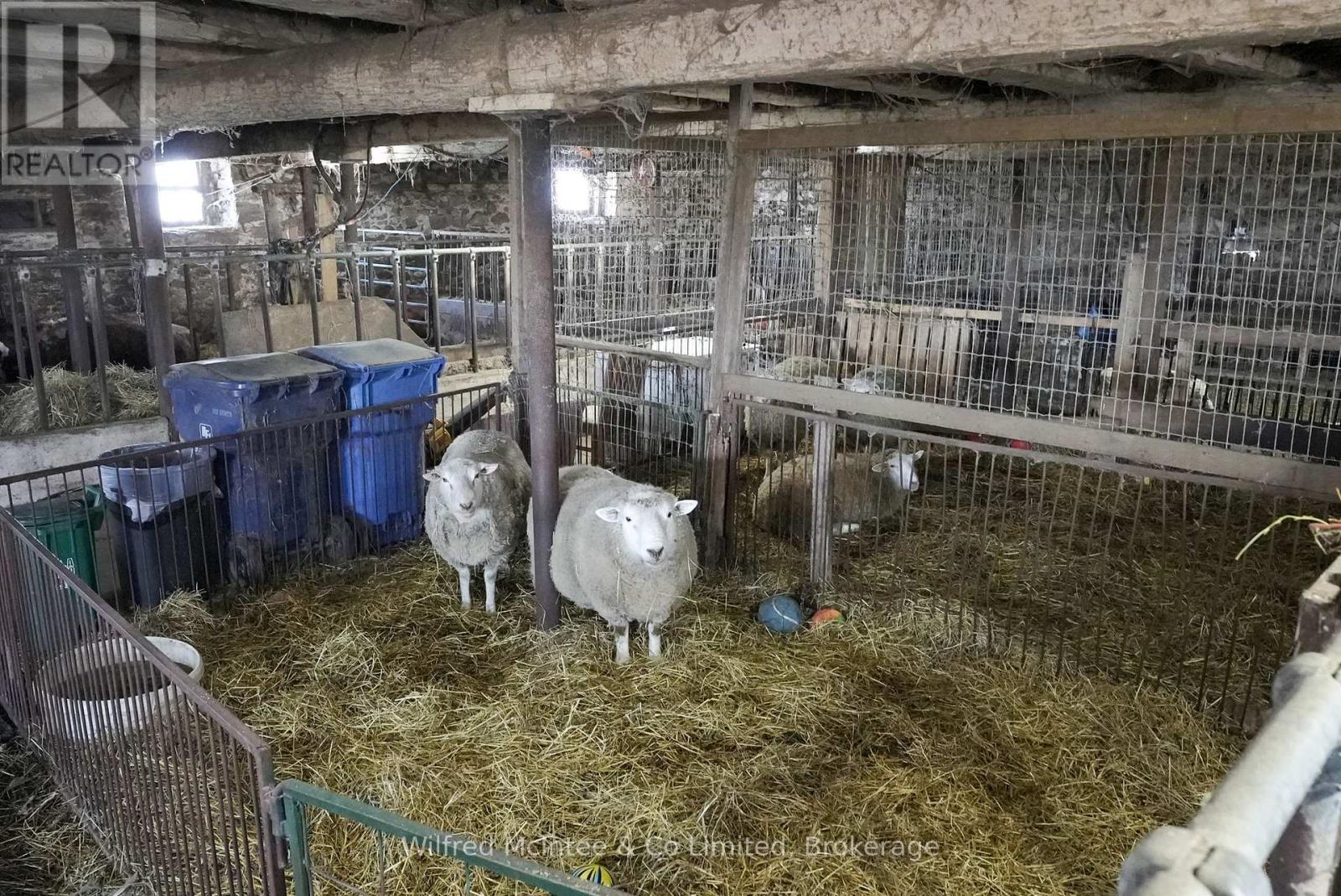 1054 4 Concession E, Brockton, Ontario  N0G 1V0 - Photo 44 - X12987548