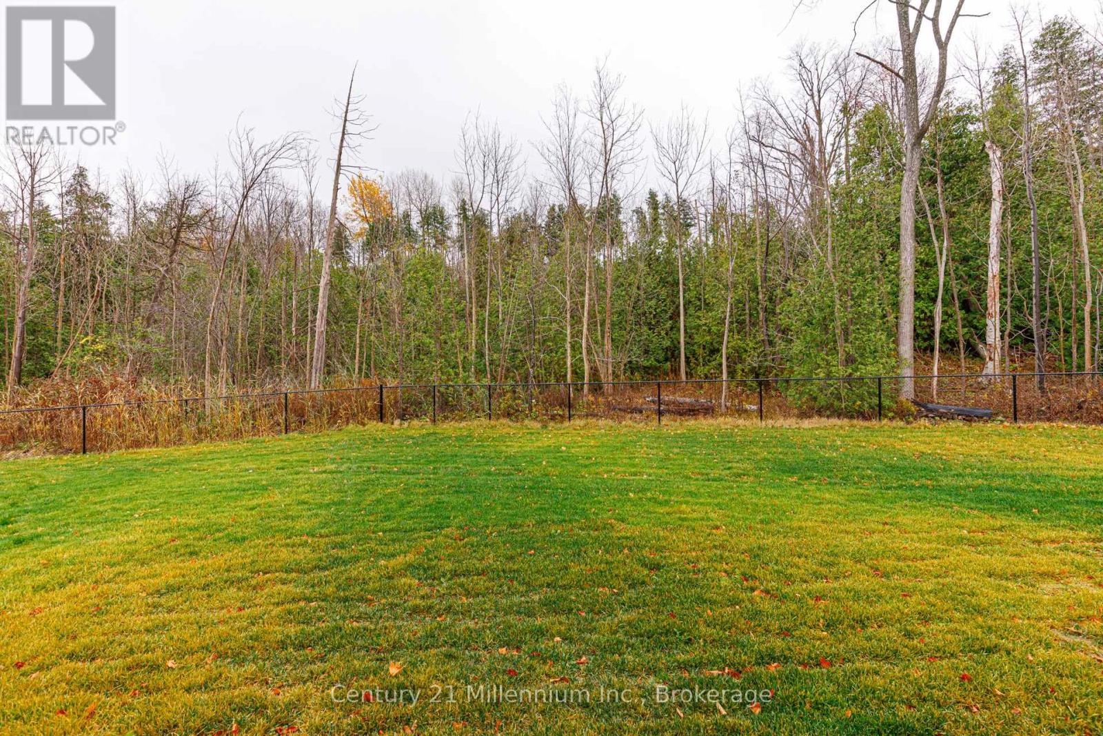 82 Goldie Court, Blue Mountains, Ontario  N0H 1J0 - Photo 43 - X12987582