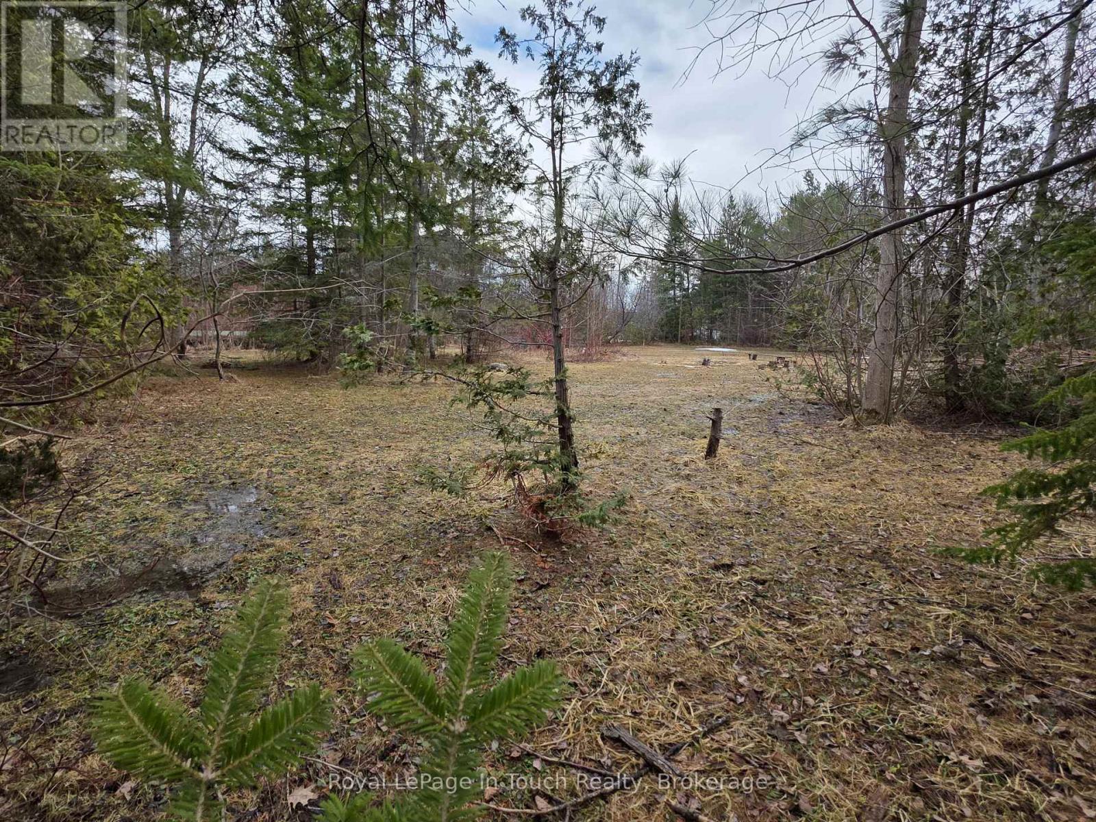 57 Bass Bay Drive, Tay, Ontario  L0K 2A0 - Photo 2 - S12840216