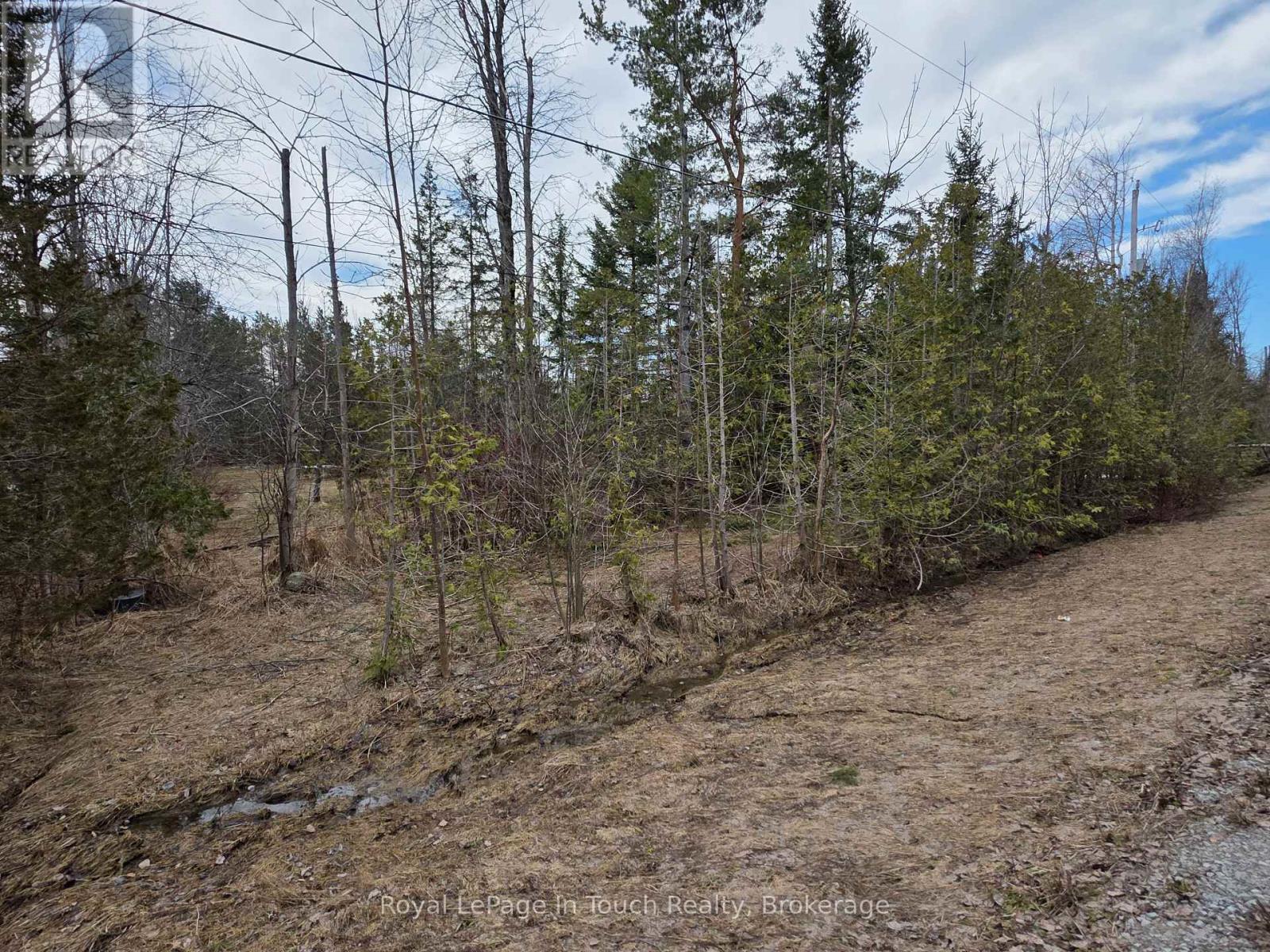 57 Bass Bay Drive, Tay, Ontario  L0K 2A0 - Photo 8 - S12840216