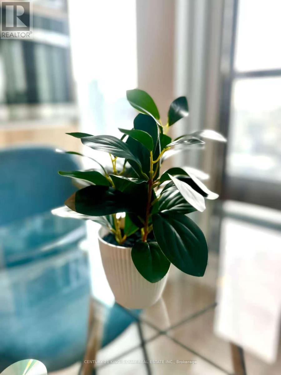 4805 - 319 Jarvis Street, Toronto, Ontario  M5B 0C8 - Photo 8 - C12987664