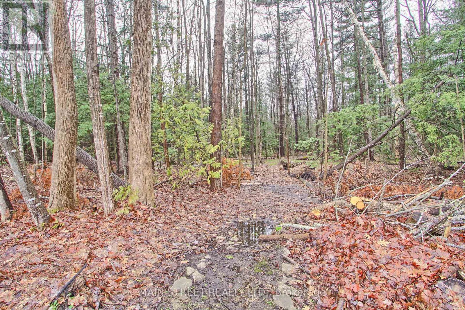 52 Maple Avenue, Georgina, Ontario  L0E 1R0 - Photo 4 - N12987684