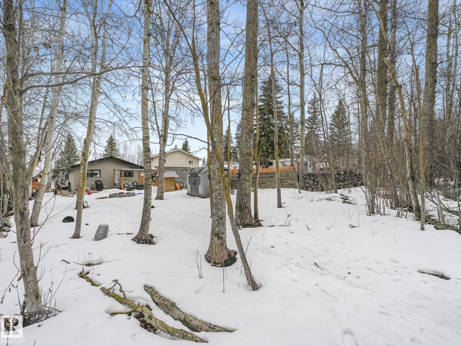 213 Crystal Springs Dr, Rural Wetaskiwin County, Alberta  T0C 2V0 - Photo 60 - E4481021