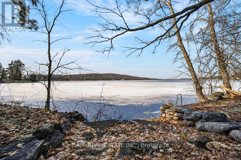 16 Fire Route 33, Havelock-Belmont-Methuen, Ontario  K0L 1Z0 - Photo 40 - X12984904