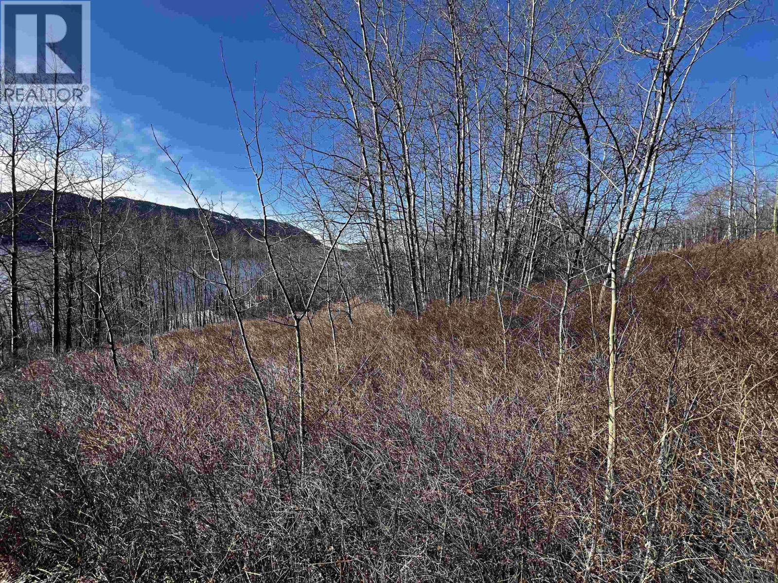 Lot 20 Francois Lake Road, Fraser Lake, British Columbia  V0J 1S0 - Photo 8 - R3098778