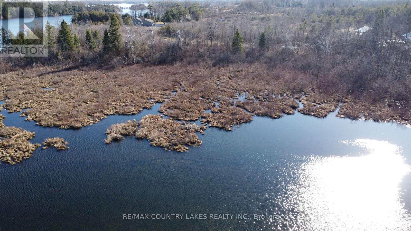 Lt 5 Victoria Road, Kawartha Lakes, Ontario  K0M 2B0 - Photo 14 - X12983802