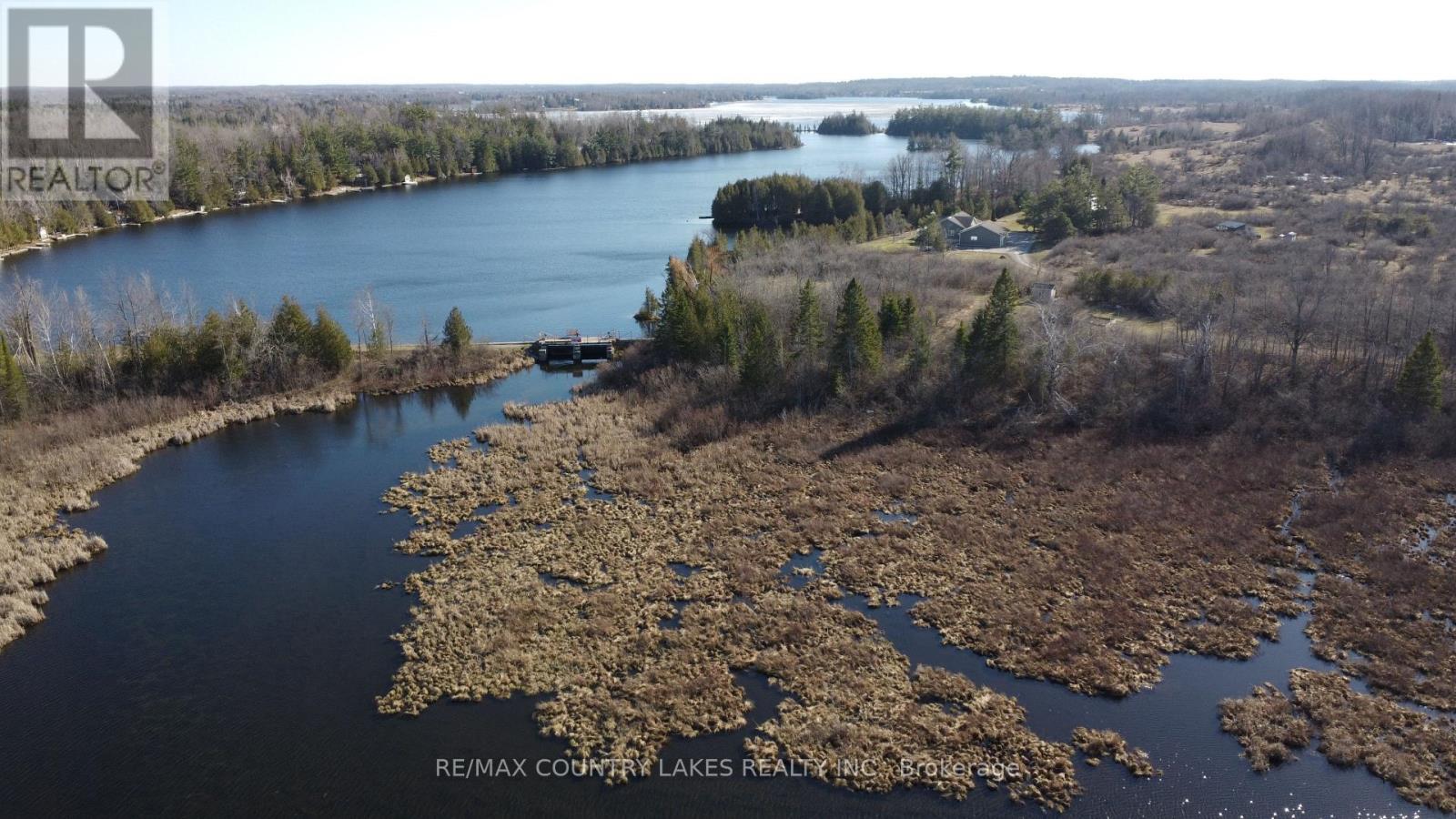 Lt 5 Victoria Road, Kawartha Lakes, Ontario  K0M 2B0 - Photo 12 - X12983802