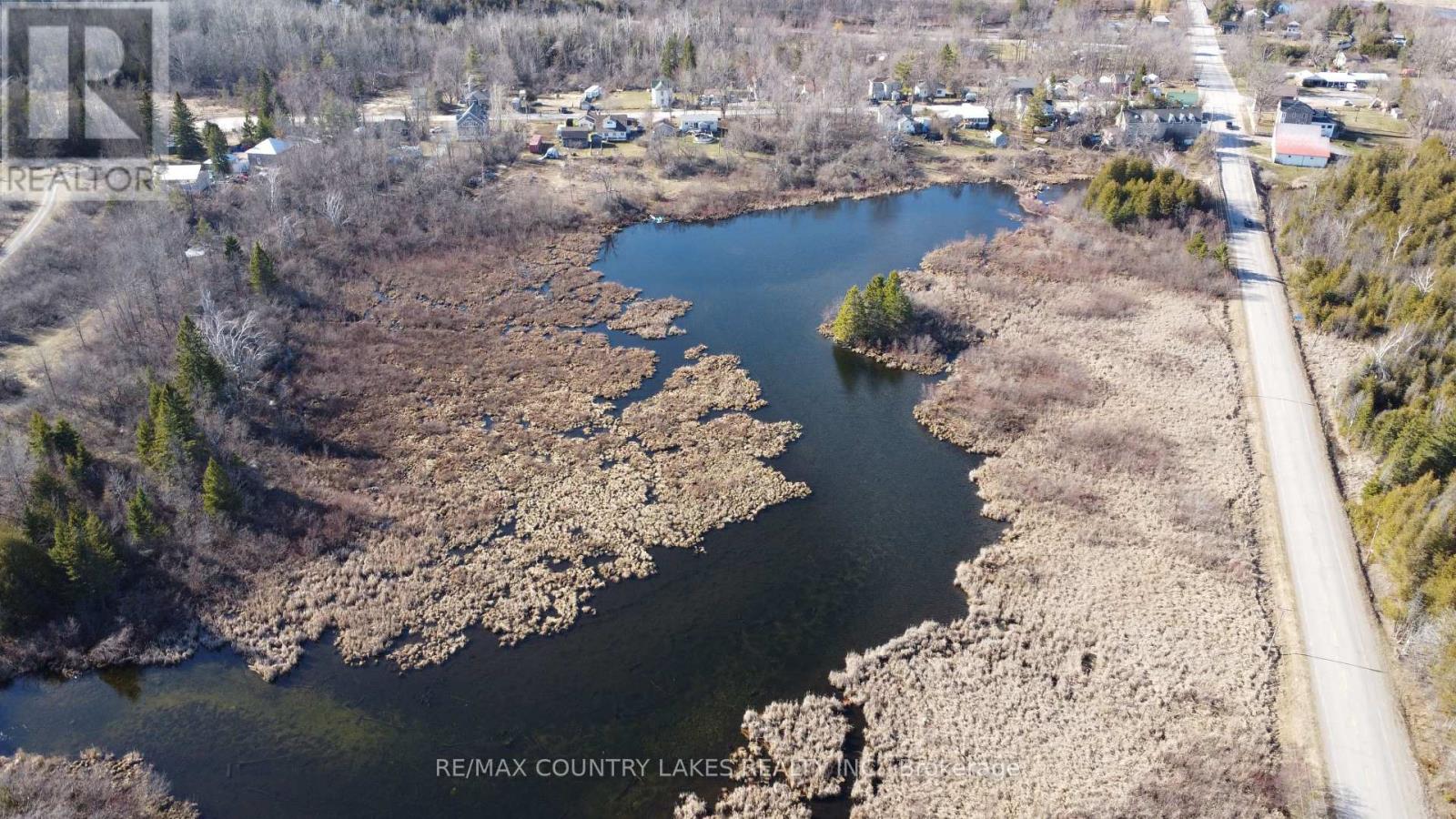 Lt 5 Victoria Road, Kawartha Lakes, Ontario  K0M 2B0 - Photo 6 - X12983802