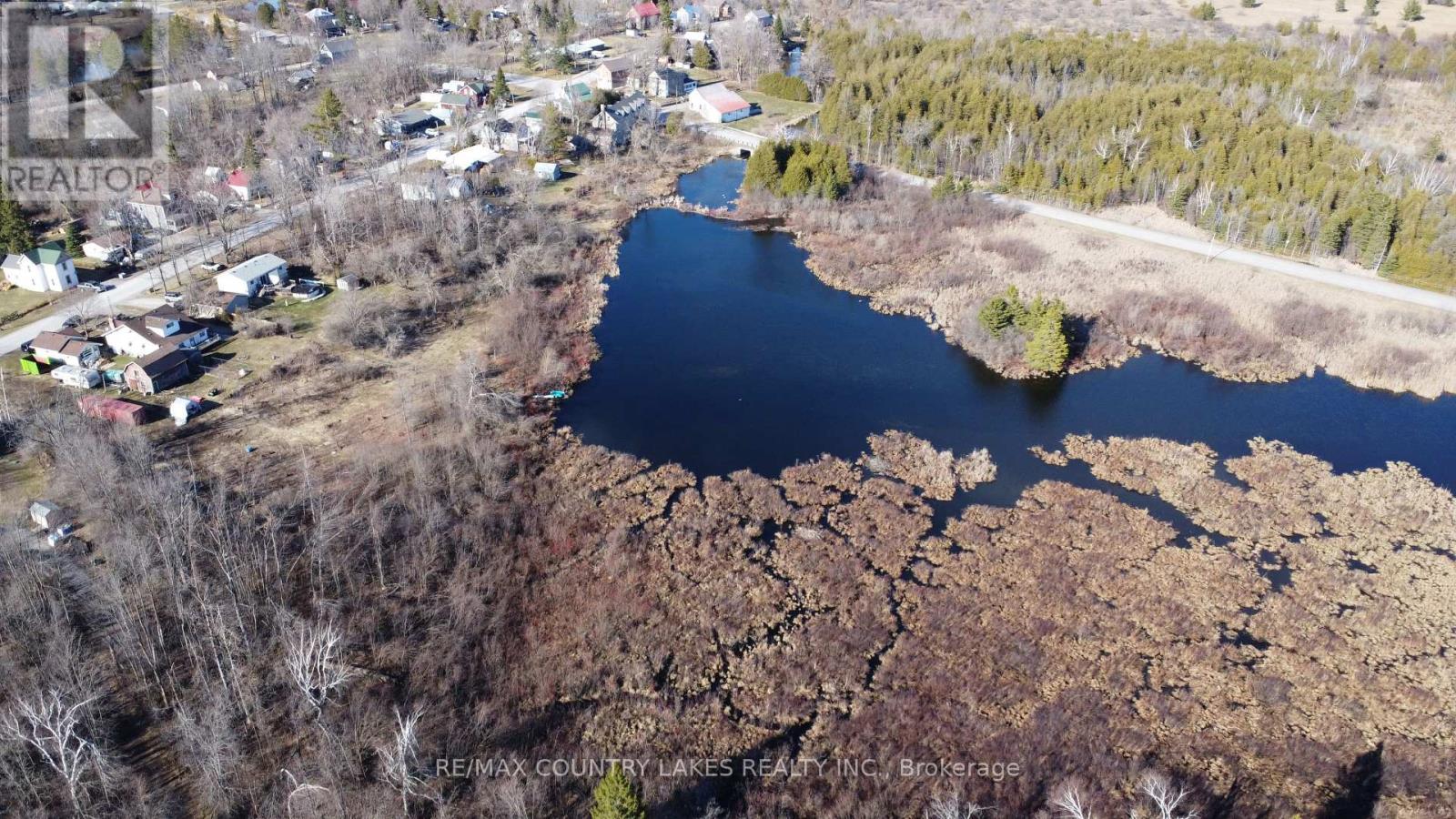 Lt 5 Victoria Road, Kawartha Lakes, Ontario  K0M 2B0 - Photo 4 - X12983802