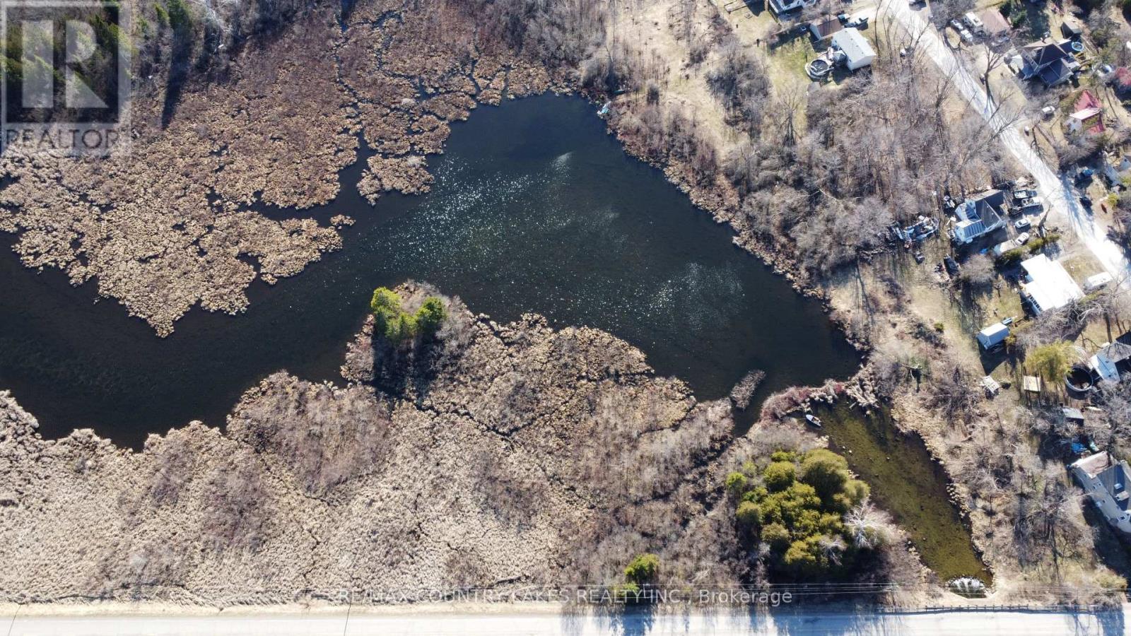 Lt 5 Victoria Road, Kawartha Lakes, Ontario  K0M 2B0 - Photo 11 - X12983802