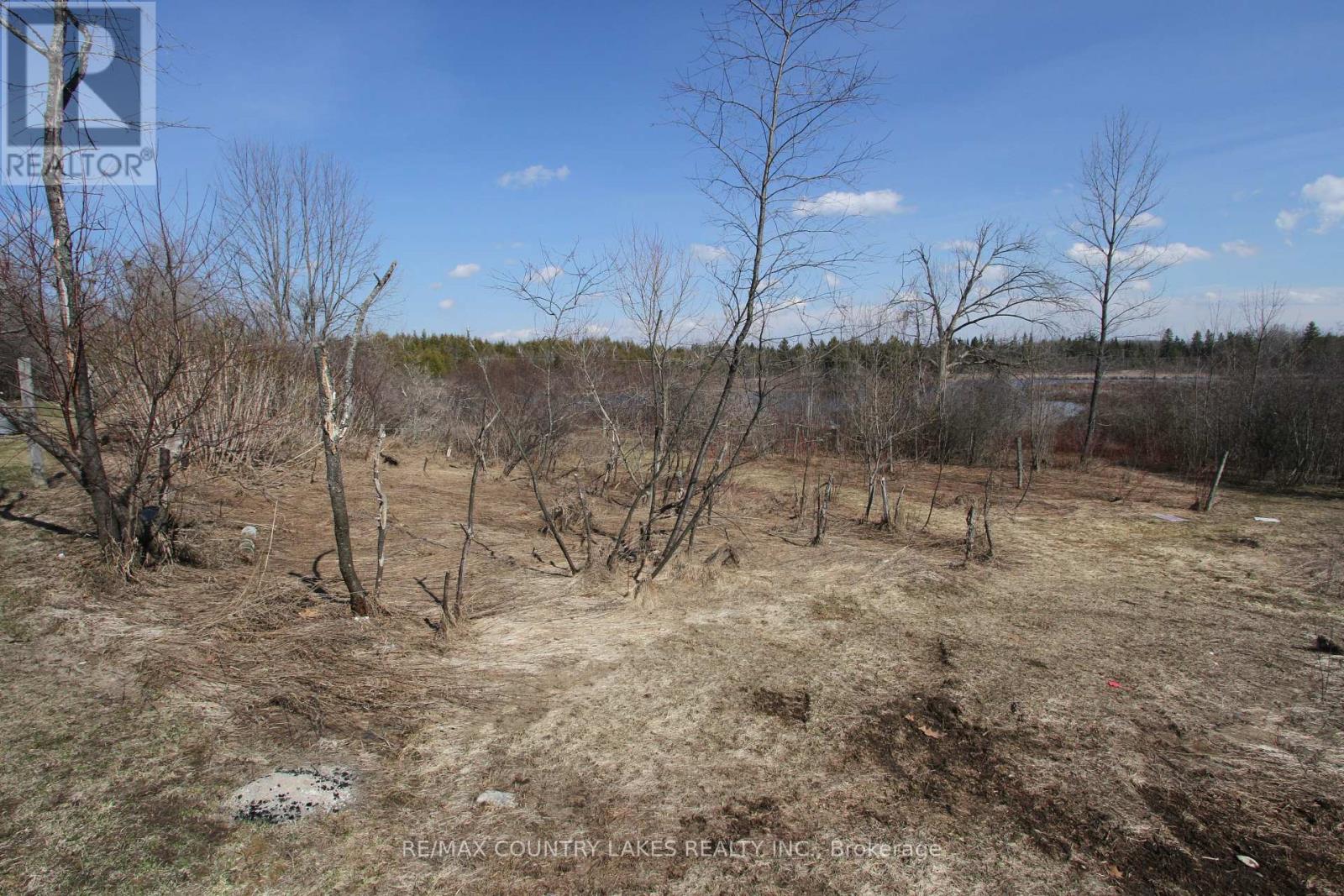 21 Richmond Street W, Kawartha Lakes, Ontario  K0M 2B0 - Photo 15 - X12983614