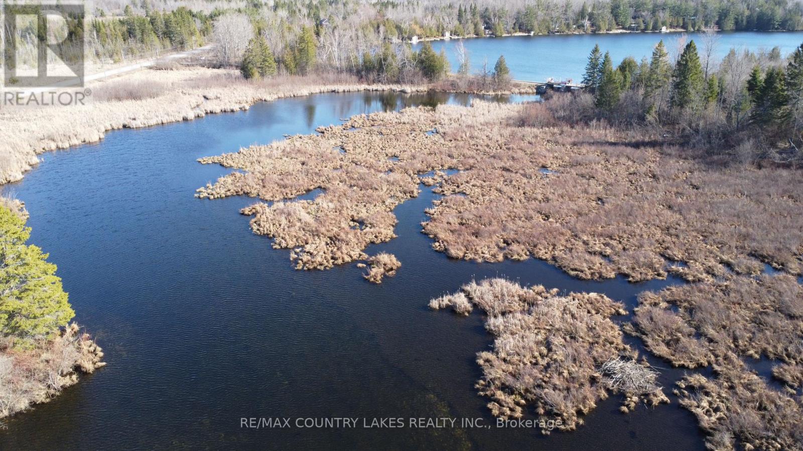 Lt 5 Victoria Road, Kawartha Lakes, Ontario  K0M 2B0 - Photo 15 - X12983802