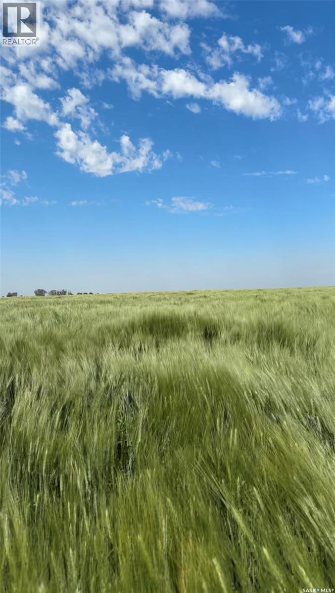 Weyburn Durum Quarter, Weyburn Rm No. 67, Saskatchewan  S4H 3J9 - Photo 2 - SK032686