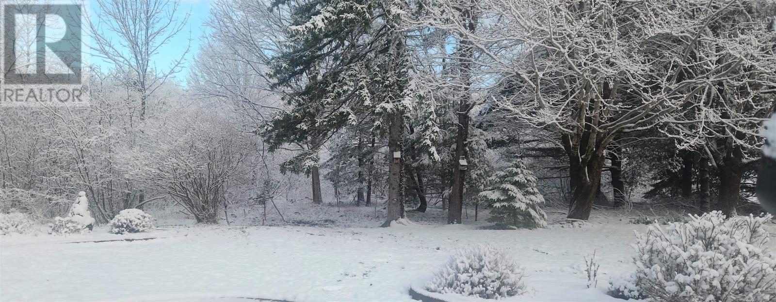 318 Victoria Road, Bridgewater, Nova Scotia  B4V 2P1 - Photo 46 - 202607068