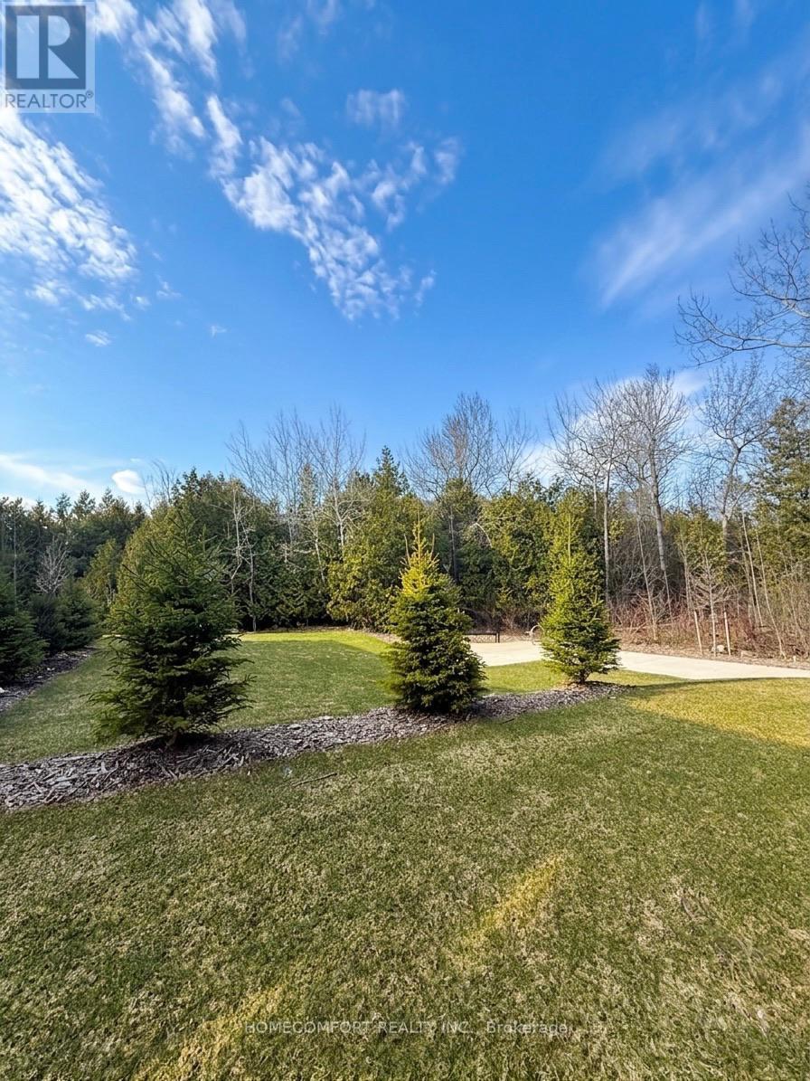 10 Winters Crescent, Collingwood, Ontario  L9Y 5T1 - Photo 3 - S12972560