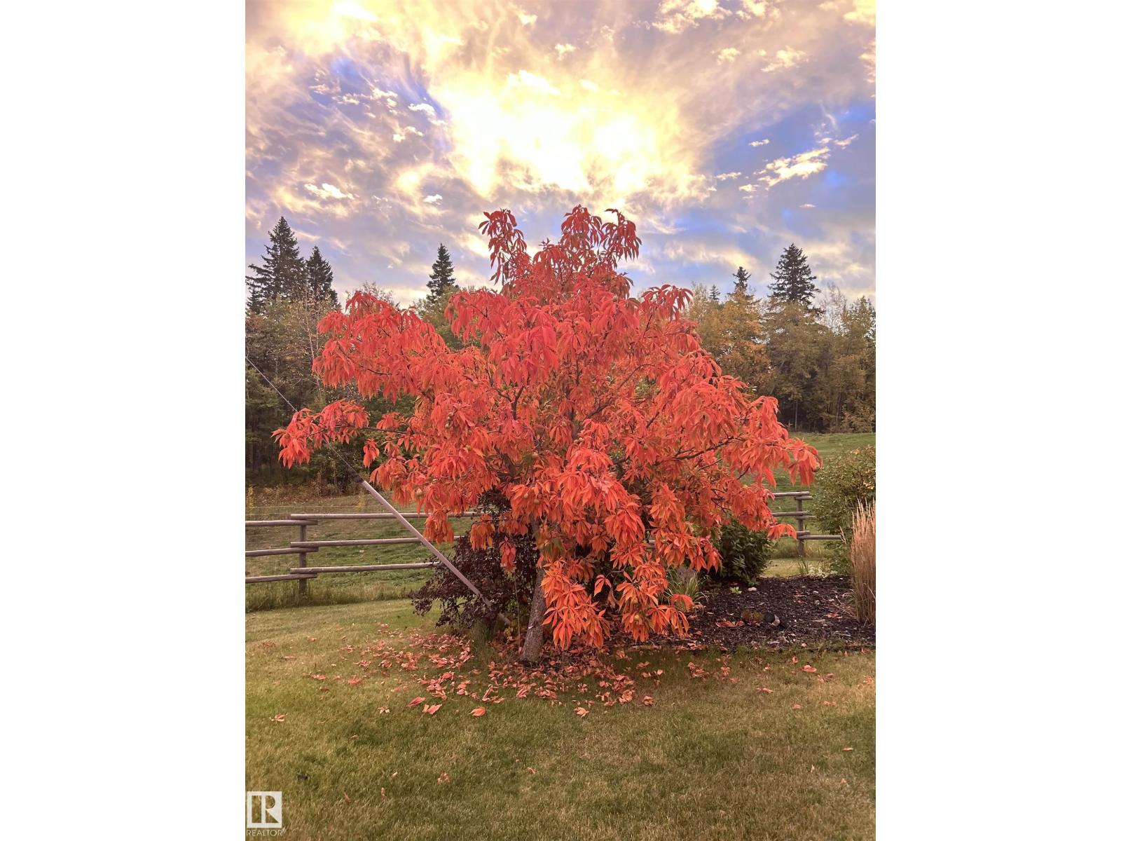 22245 Twp Road 512, Rural Strathcona County, Alberta  T8C 1H2 - Photo 21 - E4480207