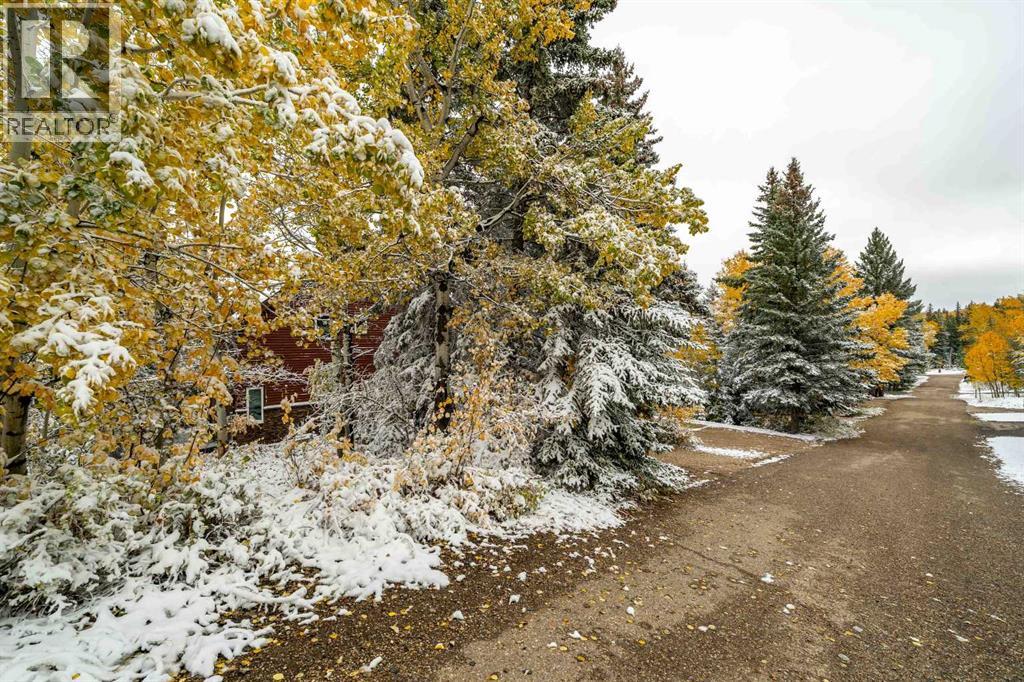 210 6 Avenue, Rural Cypress County, Alberta  T0J 1C0 - Photo 47 - A2263240