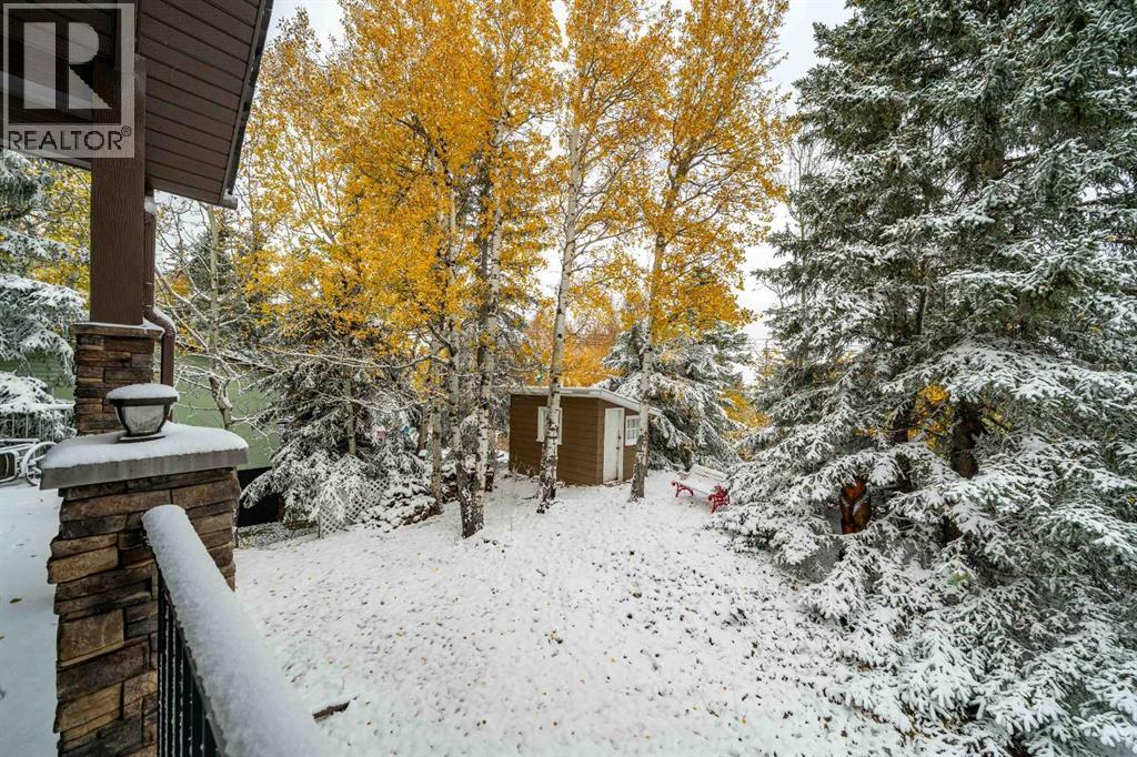 210 6 Avenue, Rural Cypress County, Alberta  T0J 1C0 - Photo 46 - A2263240