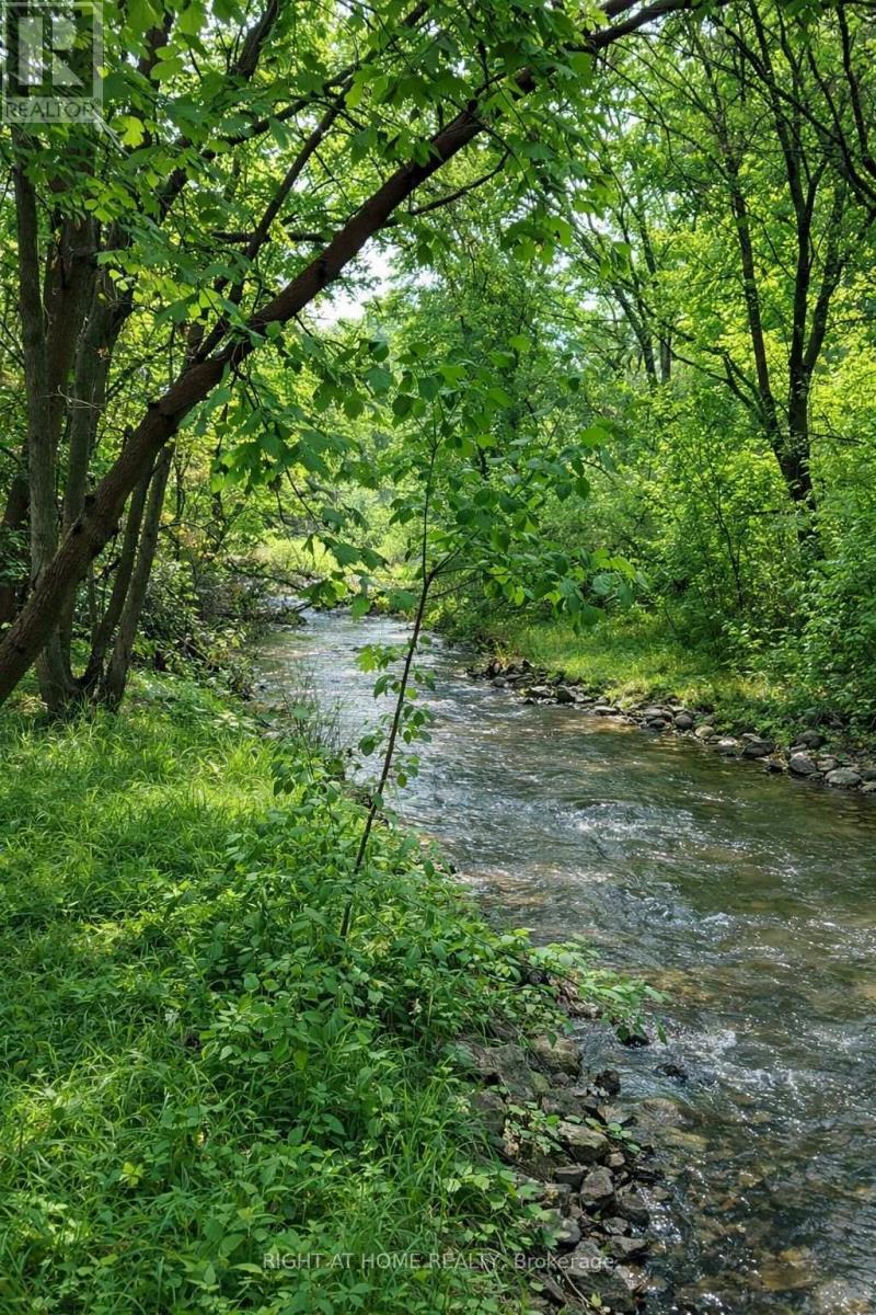 15 Pioneer Drive, Mississauga, Ontario  L5M 1G8 - Photo 17 - W12904774