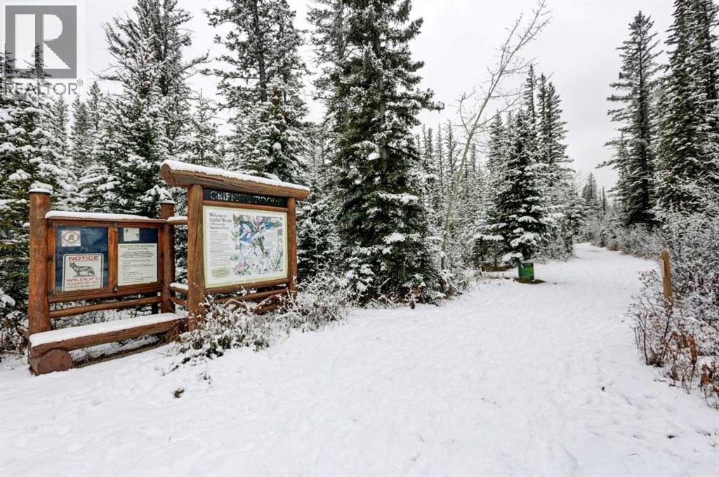 Lorem Ipsum Dolor Sit Amet, Cons, Calgary, Alberta  T3H  - Photo 35 - DEMO29497903