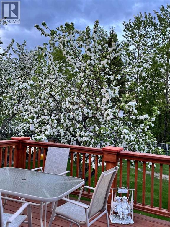 706 Hammond Drive N, Fox Creek, Alberta  T0H 1P0 - Photo 5 - A2268361