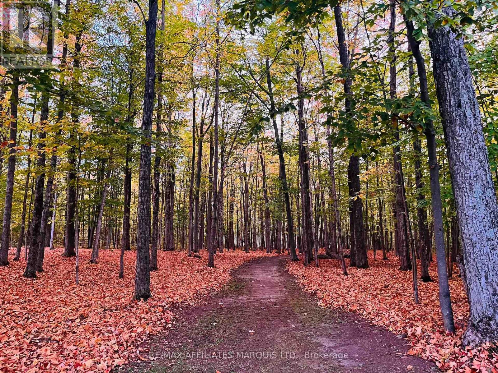 4822 Delaney Road, South Stormont, Ontario  K0C 1S0 - Photo 47 - X12987870